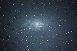 M33