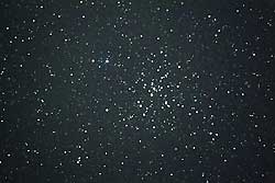 M41