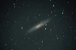 NGC253